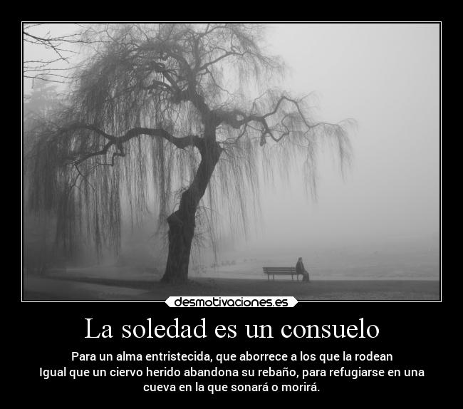 que-significa-ser-una-persona-amante-de-la-soledad ¿Qué significa ser una Persona Amante de la Soledad?